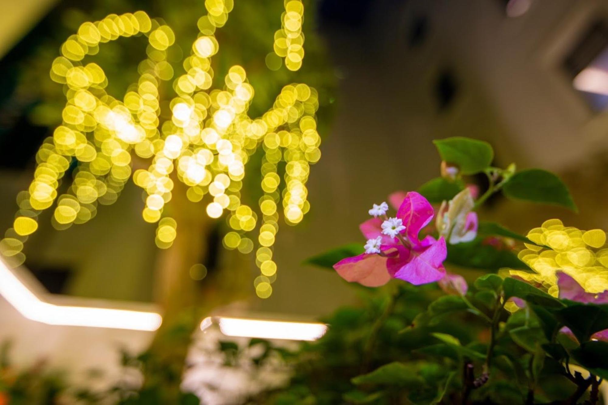 L'Amant Hotel ซำเซิน ภายนอก รูปภาพ